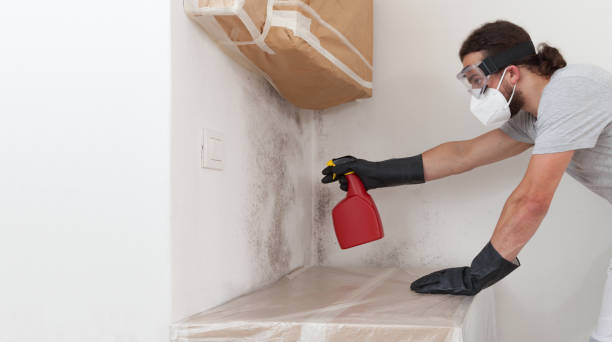 Professional Bathroom Mold Removal technician working in Coburn, PA