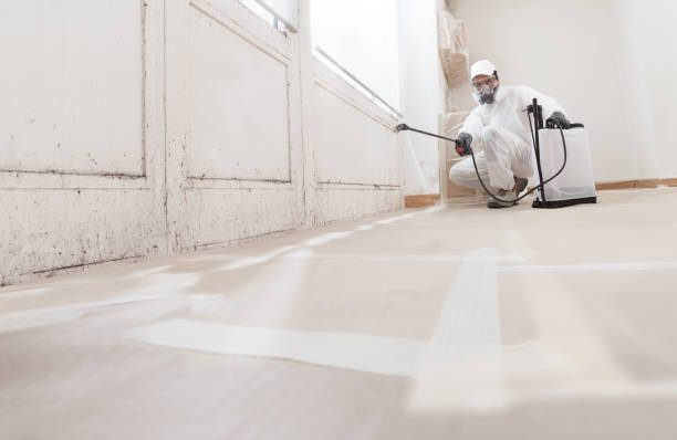 24/7 Emergency Bathroom Mold Removal experts in Coburn, PA